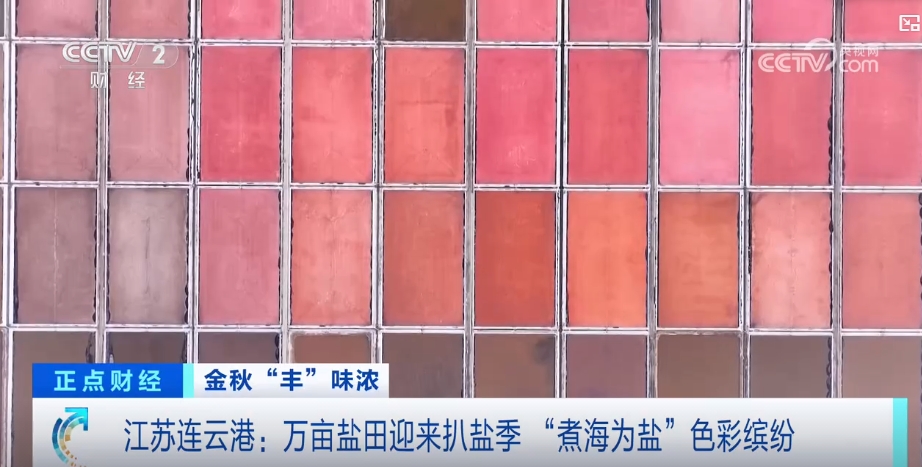 ”景 中国多地喜迎“丰收季”OG真人金秋时节处处好“丰(图2)