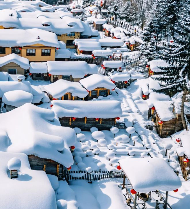 小包团六天五晚玩转哈雪亚费用揭秘OG真人寒假奔赴东北本地选优质(图2)