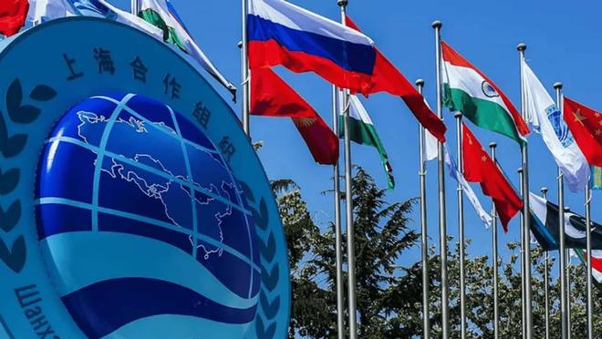 度得到真正的实惠莫迪发文感谢中国OG真人全员赞成天津宣言通过印(图4)